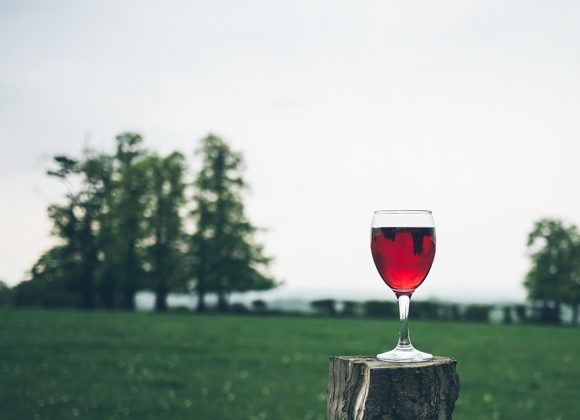 Living Wine, Transforming Wine Living Wine, Transforming Wine